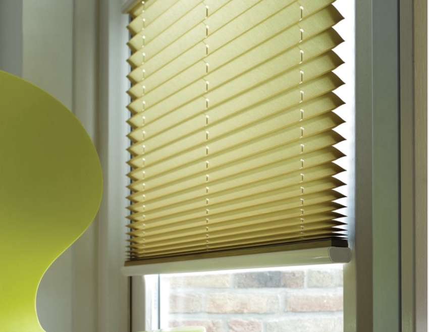 Pleated Blinds